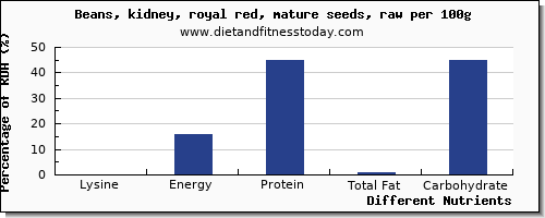 chart to show highest lysine in kidney beans per 100g